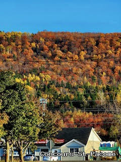 Paysage Saint-Pacôme - Concours Photo