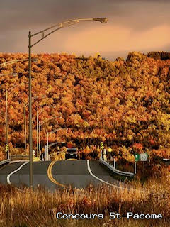 Paysage Saint-Pacôme - Concours Photo